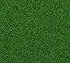 966  Kvadrat